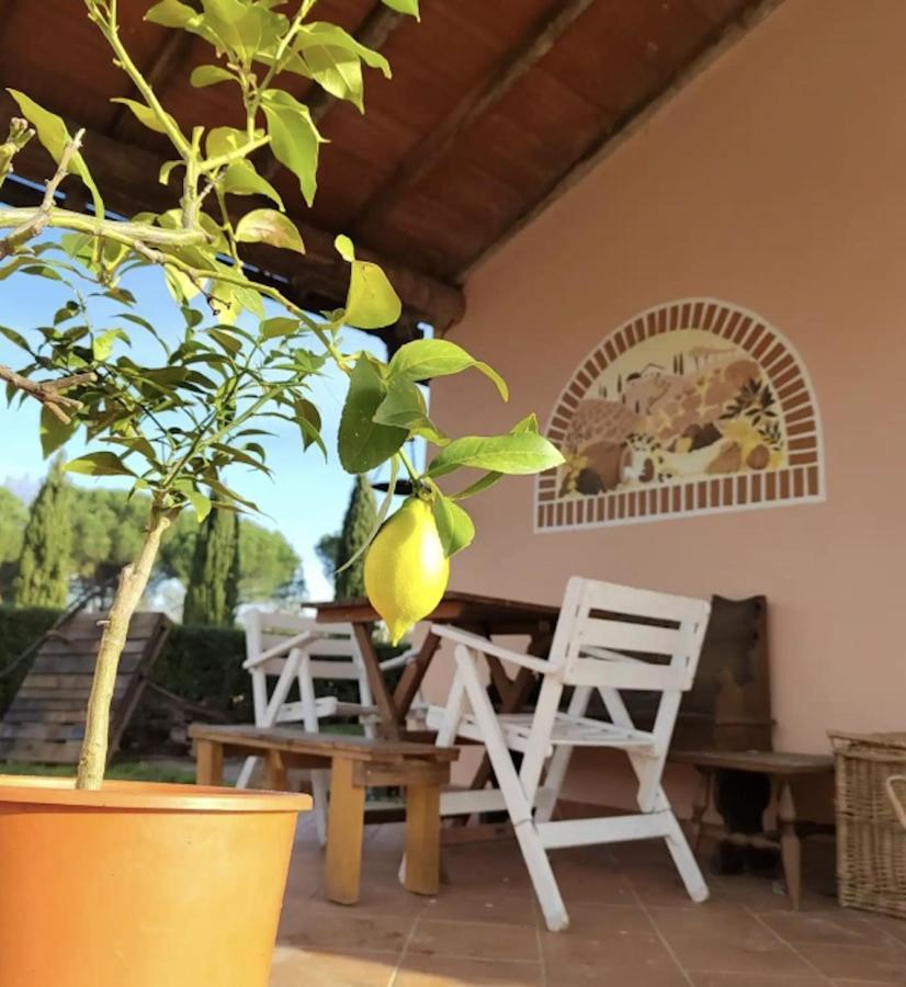 Villa Donnola: Casa Rosmarino Fucecchio Exteriör bild