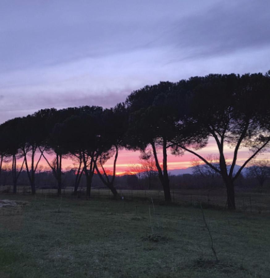 Villa Donnola: Casa Rosmarino Fucecchio Exteriör bild