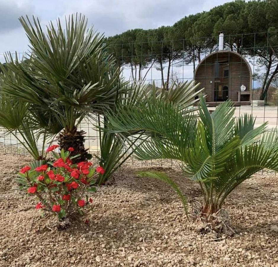 Villa Donnola: Casa Rosmarino Fucecchio Exteriör bild